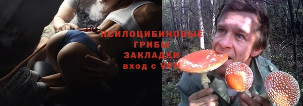 гашик Каменск-Шахтинский