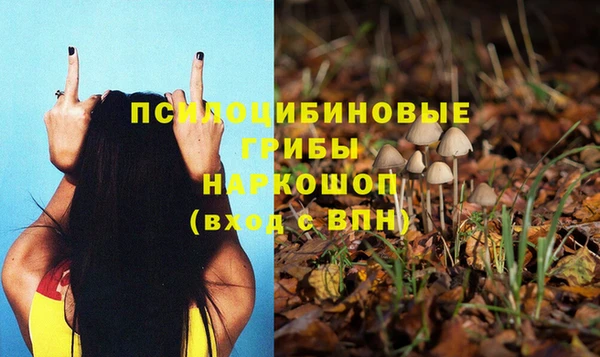 гашик Каменск-Шахтинский