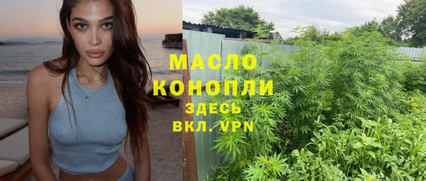 прущие грибы Инта