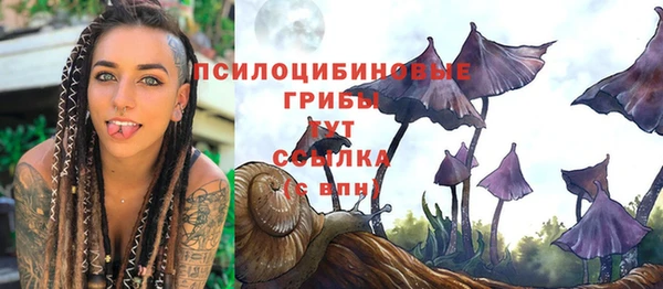 прущий лед Каменногорск