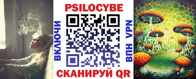 Купить закладки  Губкин  Псилоцибиновые грибы мицелий 